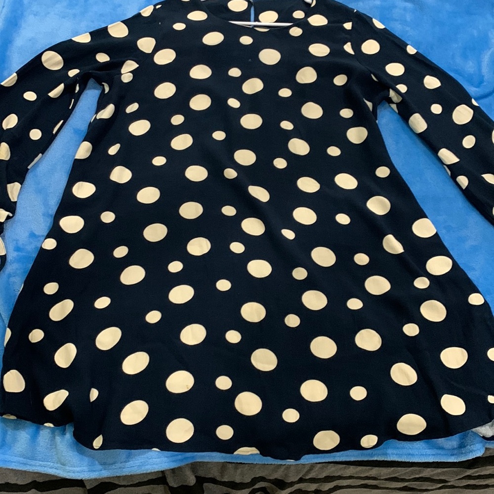 Zara Navy and Cream Polka Dot Long Sleeve Dress